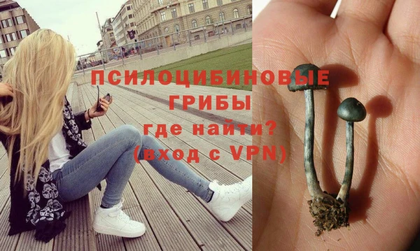 марихуана Володарск