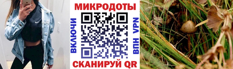 Купить  Североуральск  Галлюциногенные грибы мицелий 